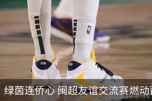 绿茵连侨心 闽超友谊交流赛燃动莆田