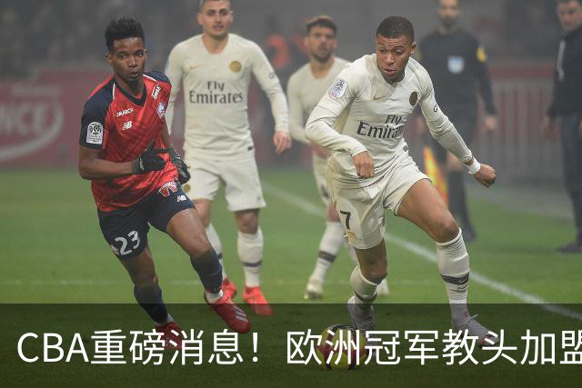 CBA重磅消息！欧洲冠军教头加盟广东，石奎正式签约香港金牛，萨姆纳也有可能离开广东，杜锋儿子前往辽宁试训